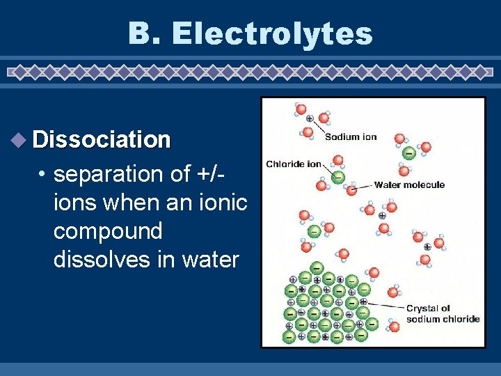 B. Electrolytes u Dissociation • separation of +/ions when an ionic compound dissolves in