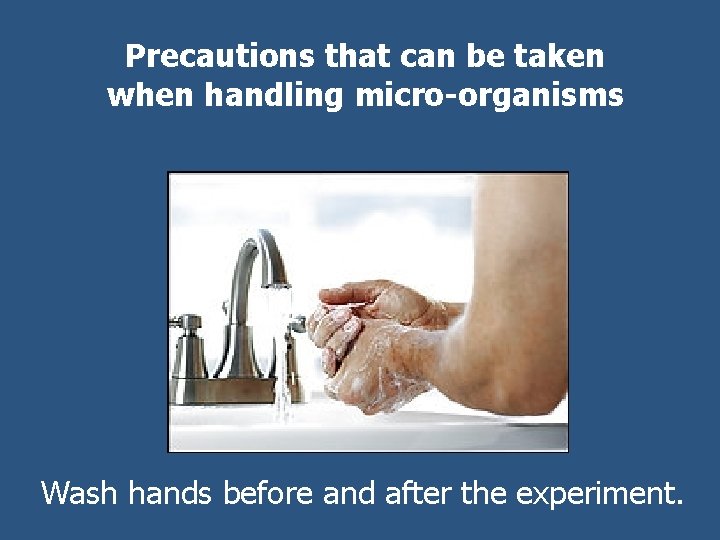 Precautions that can be taken when handling micro-organisms Wash hands before and after the