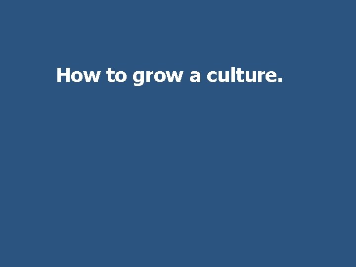 How to grow a culture. 