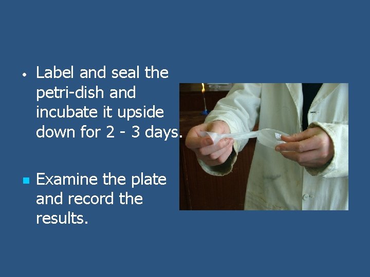  • n Label and seal the petri-dish and incubate it upside down for