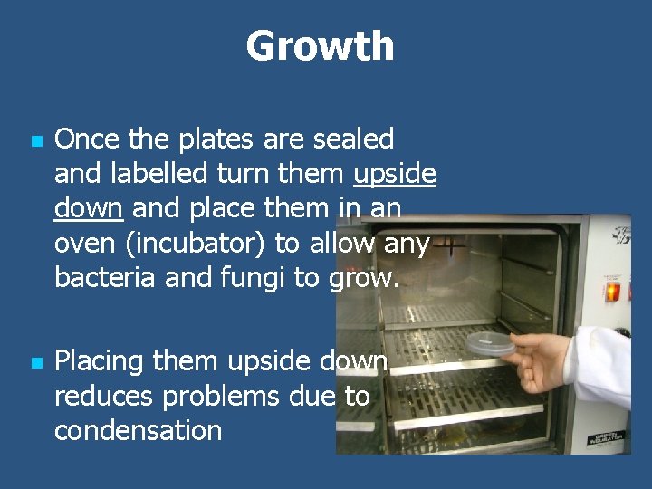 Growth n n Once the plates are sealed and labelled turn them upside down