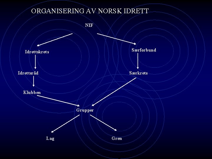 ORGANISERING AV NORSK IDRETT NIF Særforbund Idrettskrets Idrettsråd Særkrets Klubben Grupper Lag Gren 