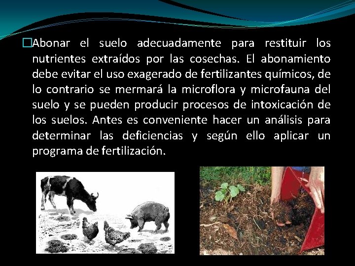 �Abonar el suelo adecuadamente para restituir los nutrientes extraídos por las cosechas. El abonamiento