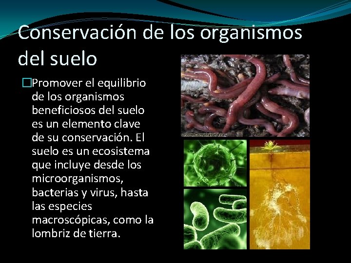 Conservación de los organismos del suelo �Promover el equilibrio de los organismos beneficiosos del