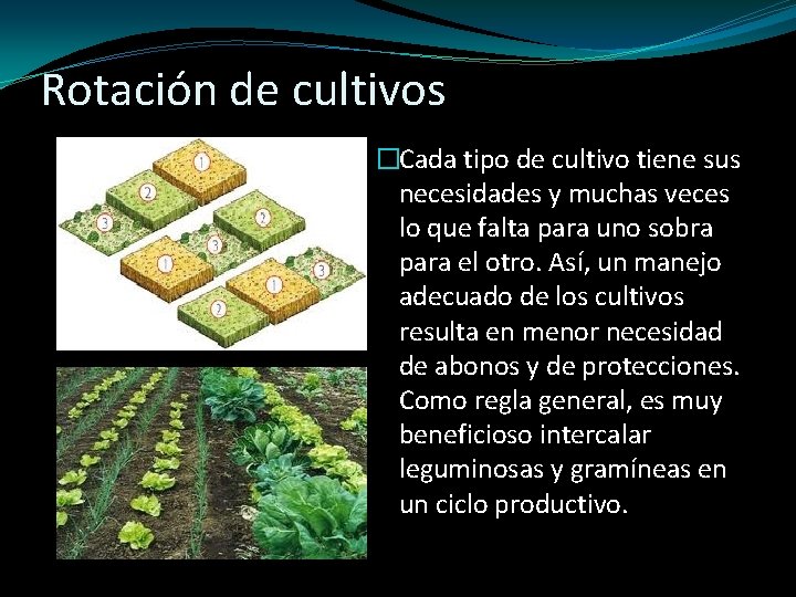 Rotación de cultivos �Cada tipo de cultivo tiene sus necesidades y muchas veces lo