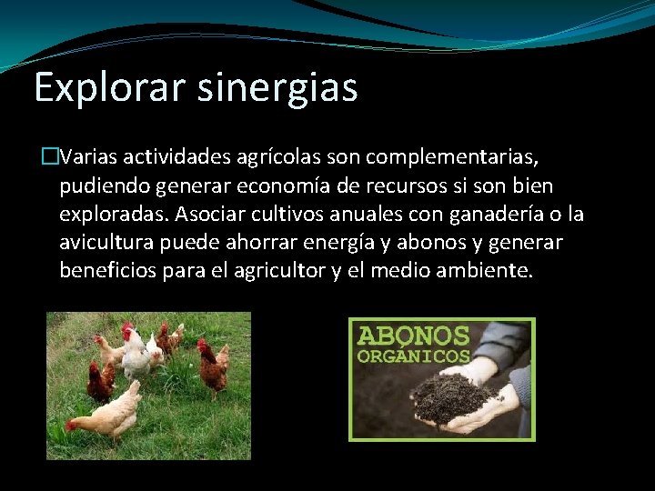 Explorar sinergias �Varias actividades agrícolas son complementarias, pudiendo generar economía de recursos si son