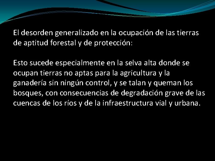 El desorden generalizado en la ocupación de las tierras de aptitud forestal y de