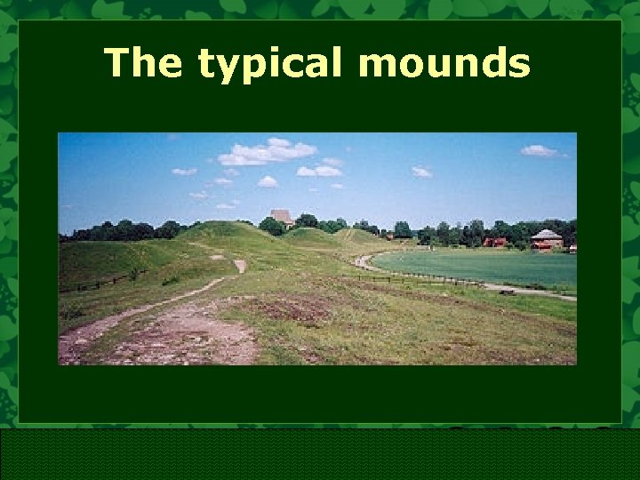 The typical mounds 