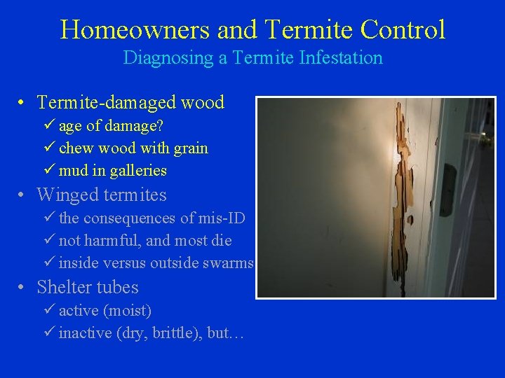 Homeowners and Termite Control Diagnosing a Termite Infestation • Termite-damaged wood ü age of