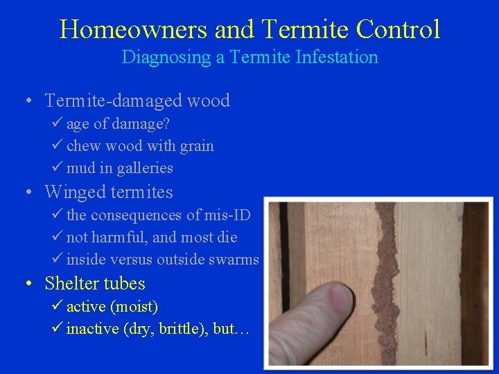 Homeowners and Termite Control Diagnosing a Termite Infestation • Termite-damaged wood ü age of