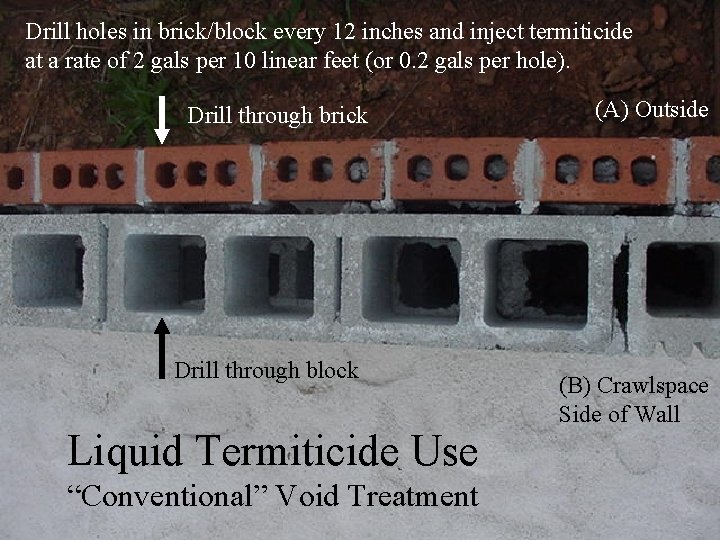 Drill holes in brick/block every 12 inches and inject termiticide at a rate of