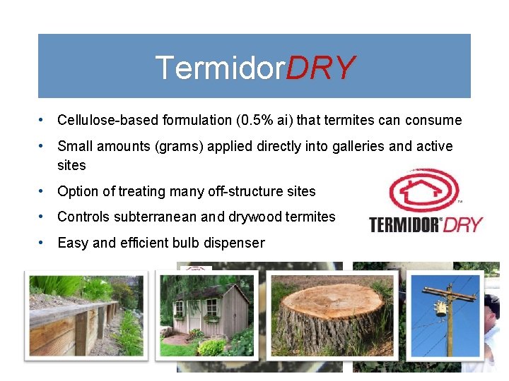 Termidor. DRY • Cellulose-based formulation (0. 5% ai) that termites can consume • Small