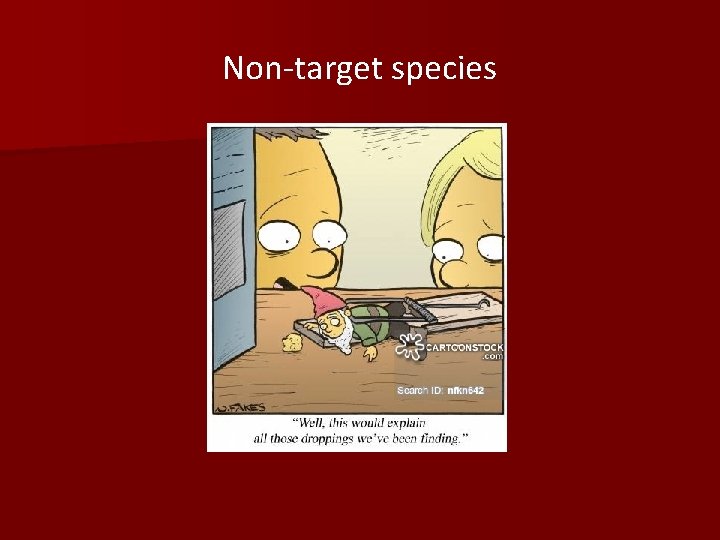 Non-target species 