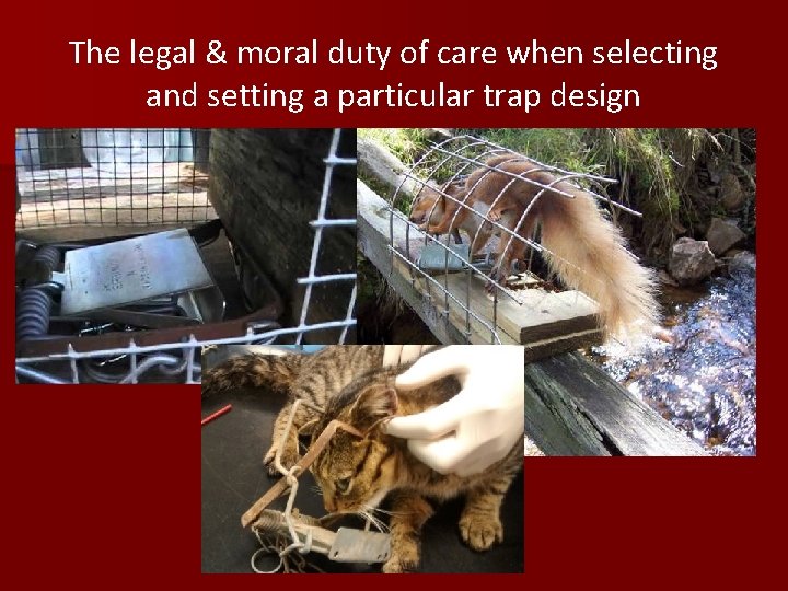 The legal & moral duty of care when selecting and setting a particular trap