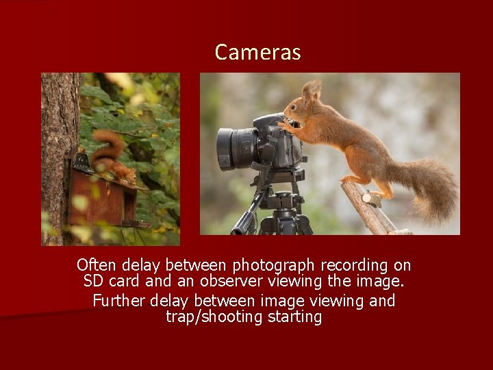 Cameras Often delay between photograph recording on SD card an observer viewing the image.
