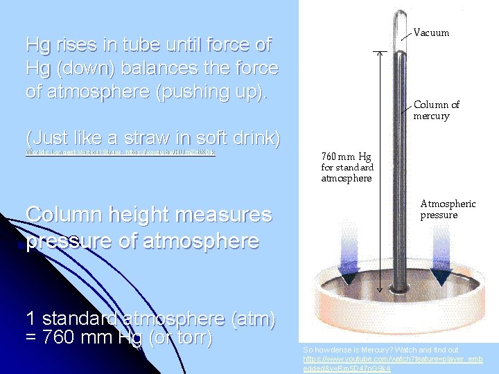 Hg rises in tube until force of Hg (down) balances the force of atmosphere