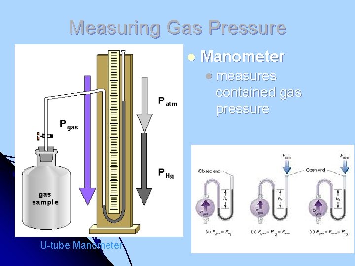 Measuring Gas Pressure l Manometer l measures contained gas pressure U-tube Manometer 