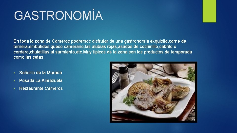 GASTRONOMÍA En toda la zona de Cameros podremos disfrutar de una gastronomía exquisita, carne
