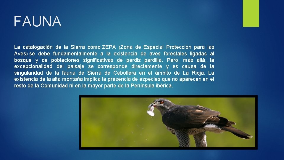 FAUNA La catalogación de la Sierra como ZEPA (Zona de Especial Protección para las