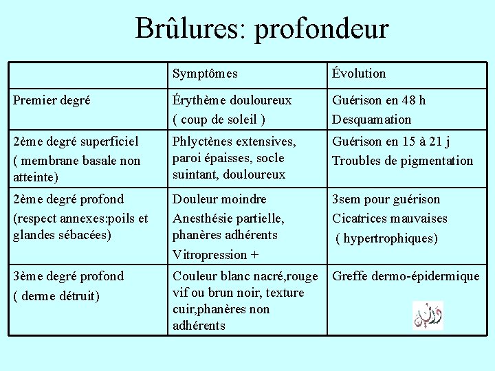 Brûlures: profondeur Symptômes Évolution Premier degré Érythème douloureux ( coup de soleil ) Guérison Brûlures: profondeur Symptômes Évolution Premier degré Érythème douloureux ( coup de soleil ) Guérison