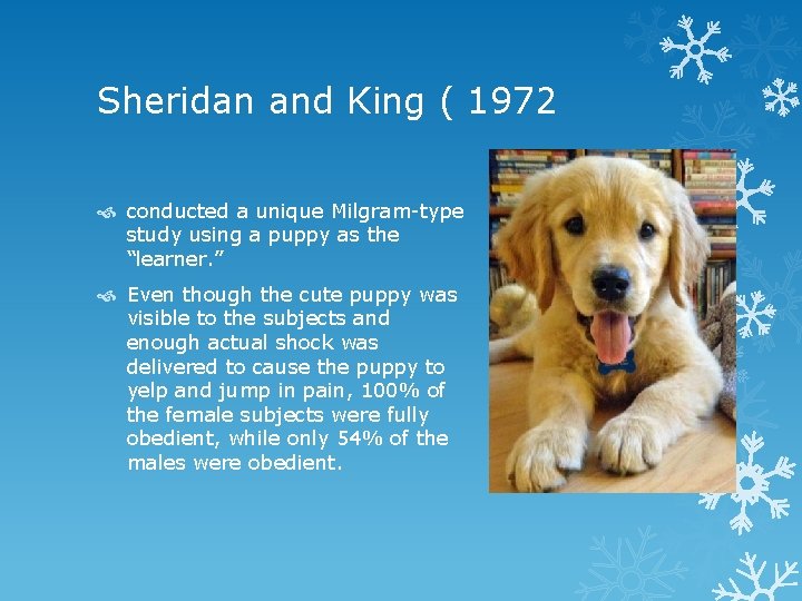 Sheridan and King ( 1972 conducted a unique Milgram-type study using a puppy as