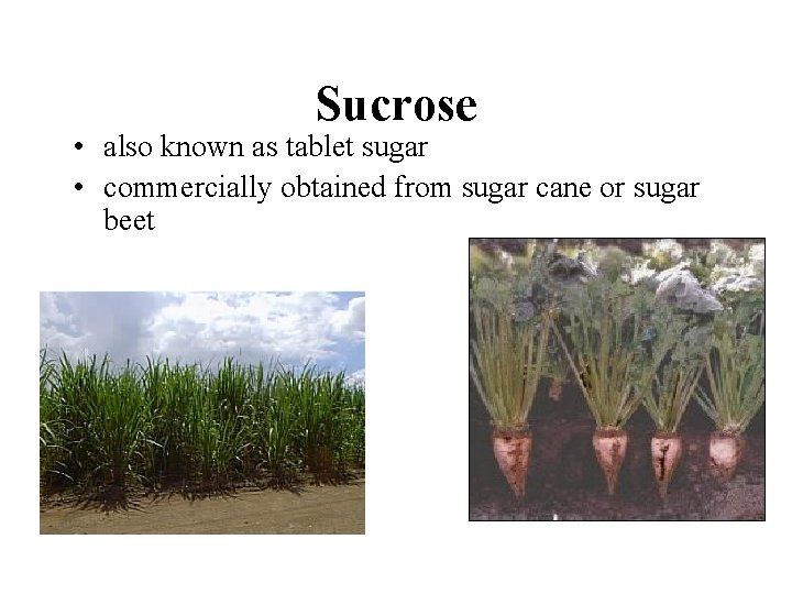 Sucrose • also known as tablet sugar • commercially obtained from sugar cane or