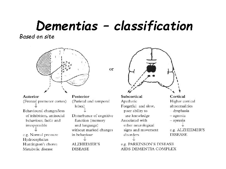Dementias – classification Based on site 