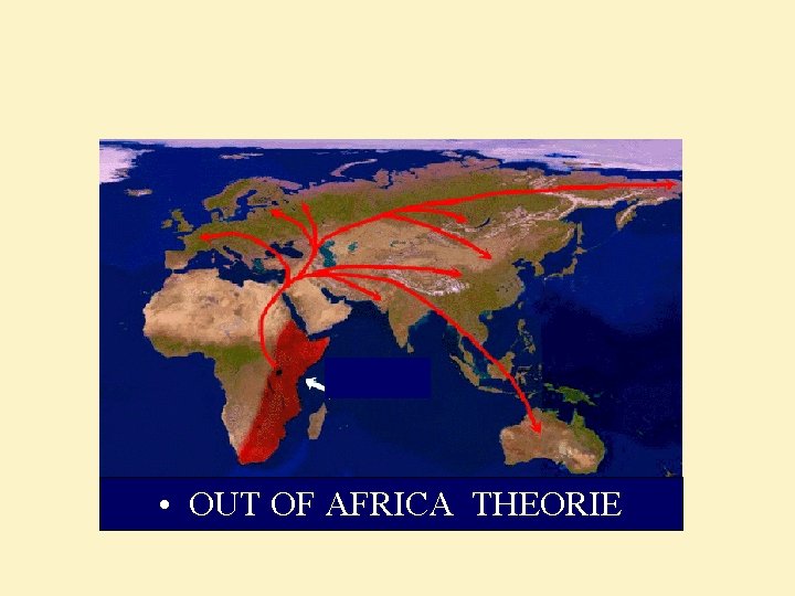  • OUT OF AFRICA THEORIE 