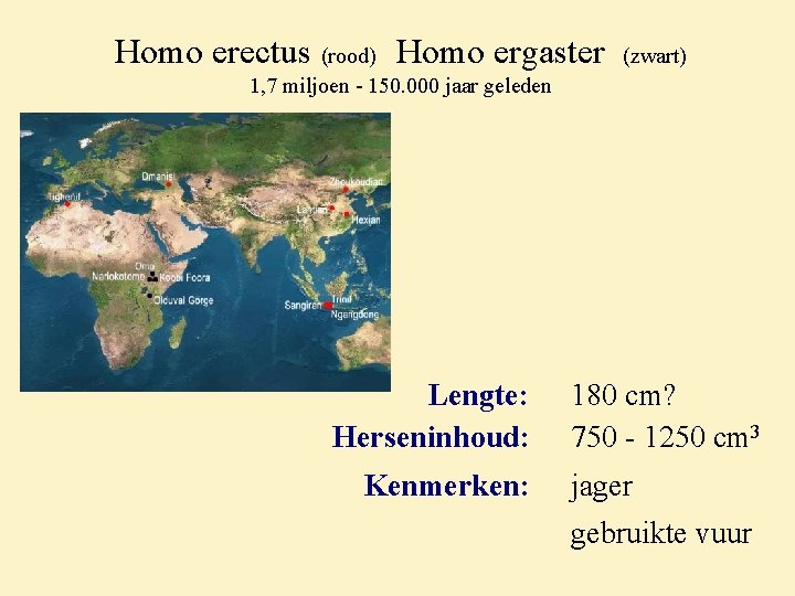 Homo erectus (rood) Homo ergaster (zwart) 1, 7 miljoen - 150. 000 jaar geleden