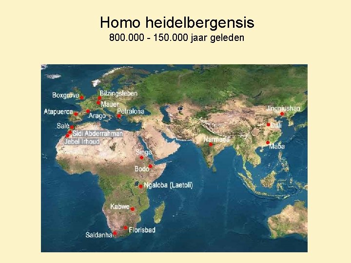 Homo heidelbergensis 800. 000 - 150. 000 jaar geleden 