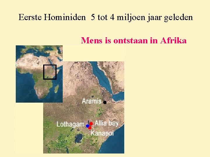 Eerste Hominiden 5 tot 4 miljoen jaar geleden Mens is ontstaan in Afrika 