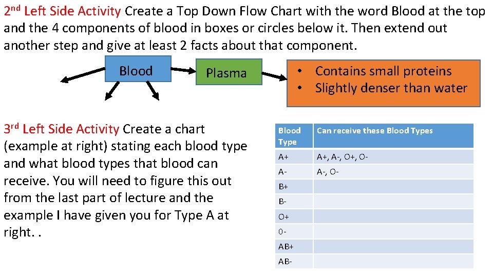 2 nd Left Side Activity Create a Top Down Flow Chart with the word