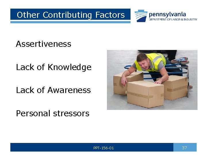 Other Contributing Factors Assertiveness Lack of Knowledge Lack of Awareness Personal stressors PPT-156 -01
