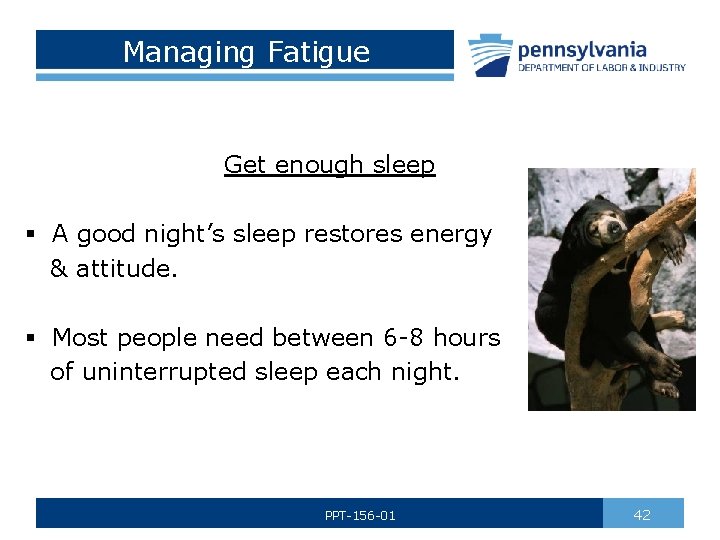 Managing Fatigue Get enough sleep § A good night’s sleep restores energy & attitude.