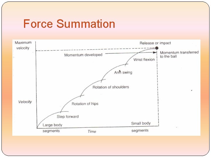 Force Summation 