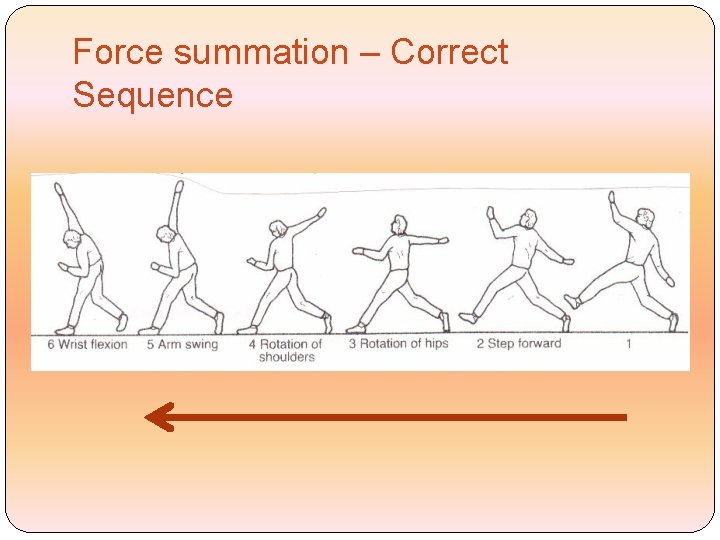 Force summation – Correct Sequence 