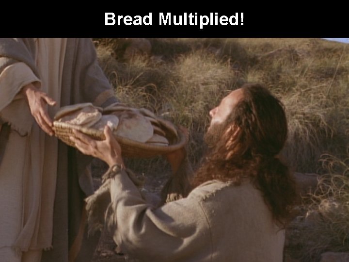 Bread Multiplied! 