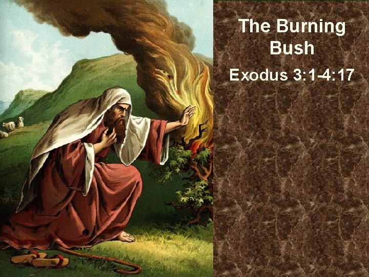 The Burning Bush Exodus 3: 1 -4: 17 