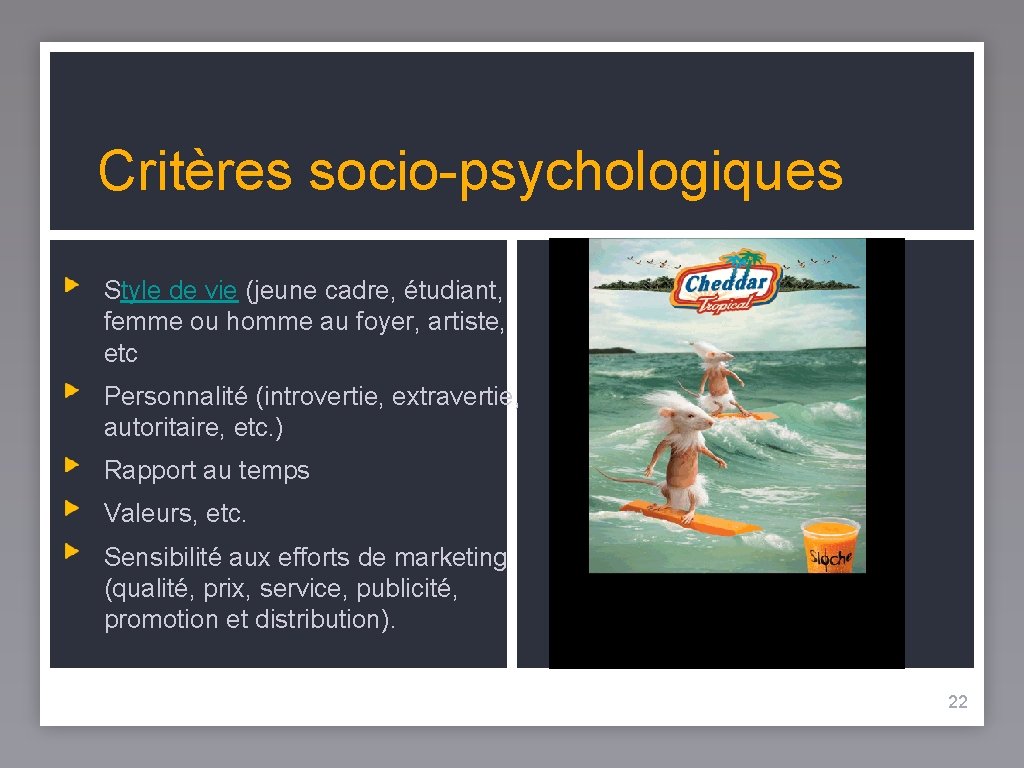 Critères socio-psychologiques Style de vie (jeune cadre, étudiant, femme ou homme au foyer, artiste,