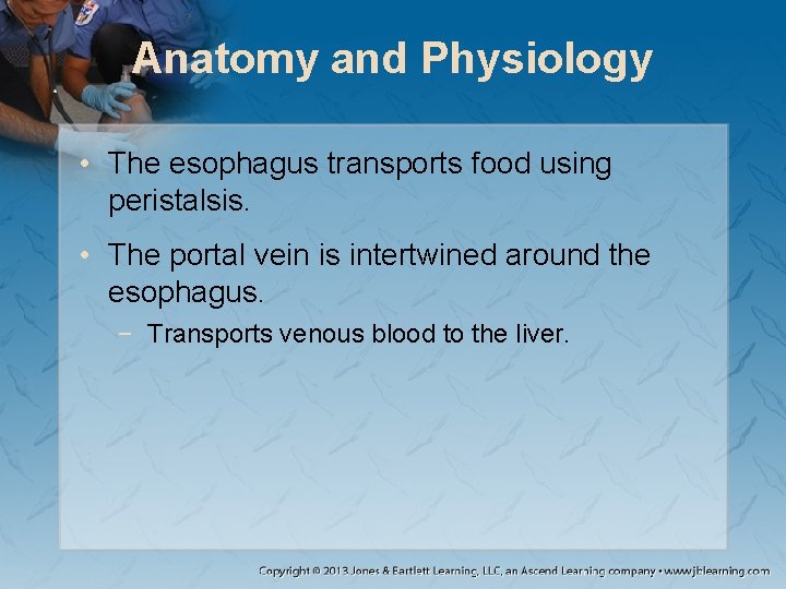 Anatomy and Physiology • The esophagus transports food using peristalsis. • The portal vein
