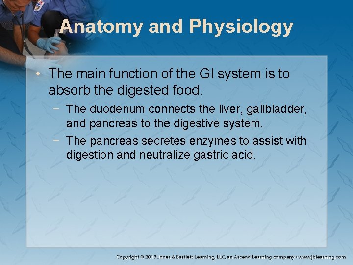 Anatomy and Physiology • The main function of the GI system is to absorb