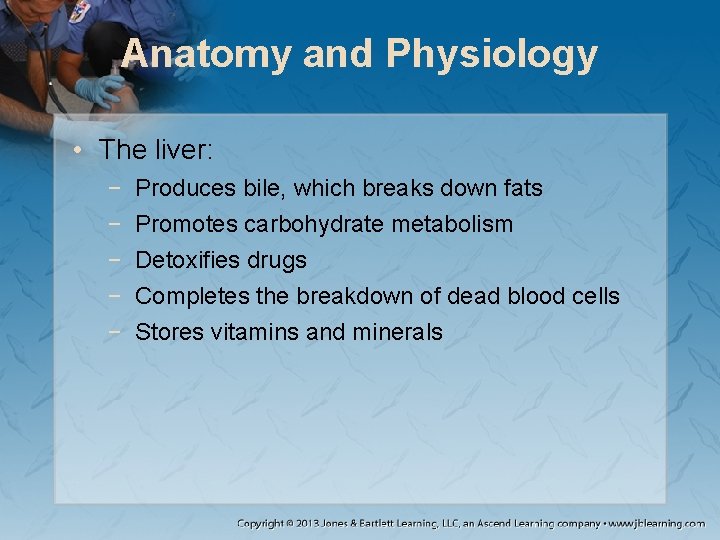 Anatomy and Physiology • The liver: − − − Produces bile, which breaks down