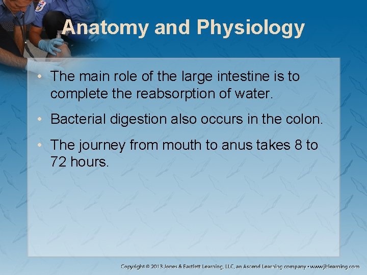 Anatomy and Physiology • The main role of the large intestine is to complete