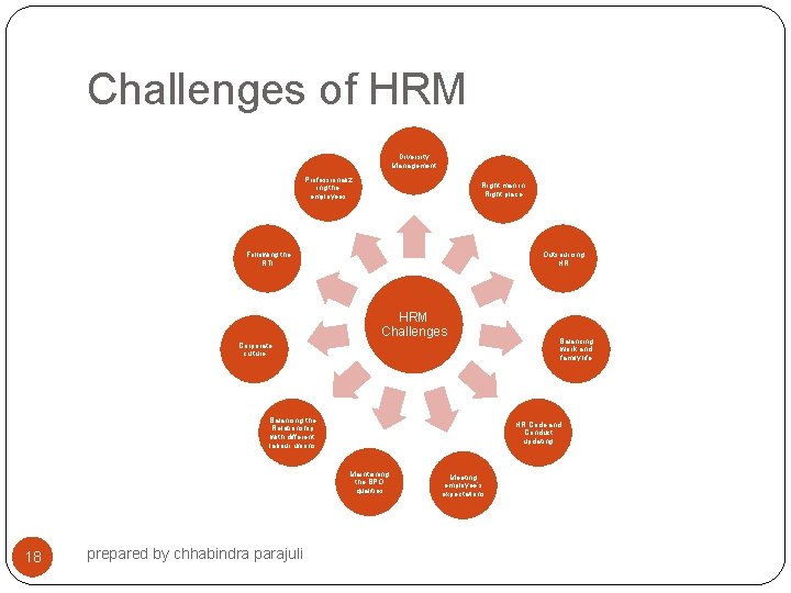 Challenges of HRM Diversity Management Professionaliz ing the employees Right man in Right place