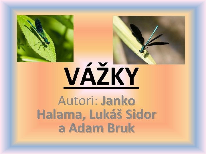 VÁŽKY Autori: Janko Halama, Lukáš Sidor a Adam Bruk 