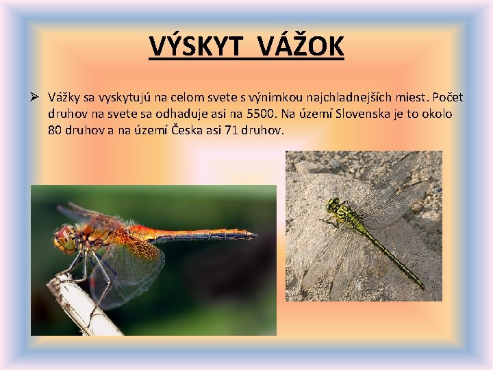 VÝSKYT VÁŽOK Ø Vážky sa vyskytujú na celom svete s výnimkou najchladnejších miest. Počet