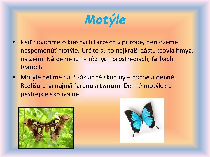 Motýle • Keď hovoríme o krásnych farbách v prírode, nemôžeme nespomenúť motýle. Určite sú