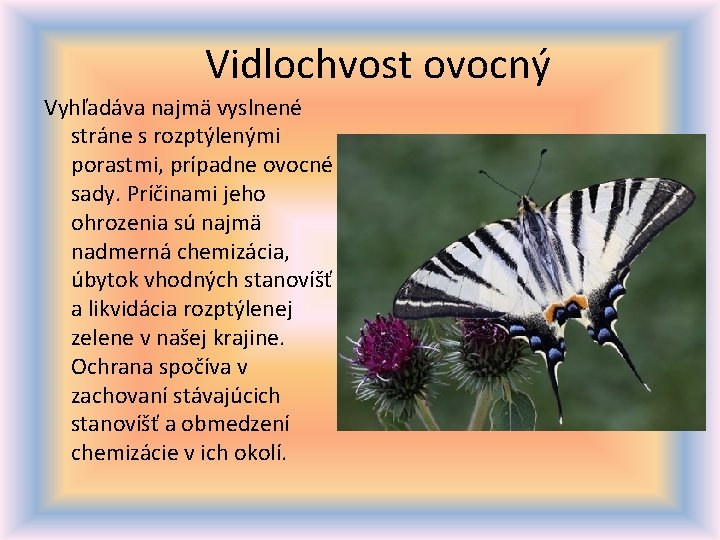 Vidlochvost ovocný Vyhľadáva najmä vyslnené stráne s rozptýlenými porastmi, prípadne ovocné sady. Príčinami jeho