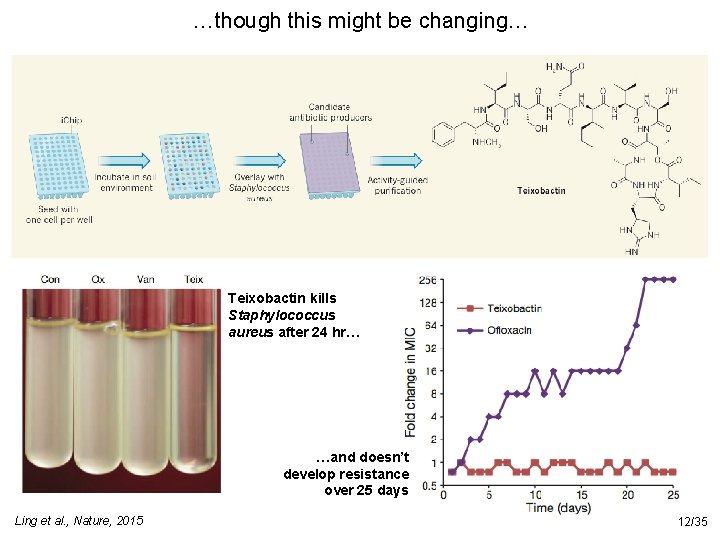 …though this might be changing… Teixobactin kills Staphylococcus aureus after 24 hr… …and doesn’t