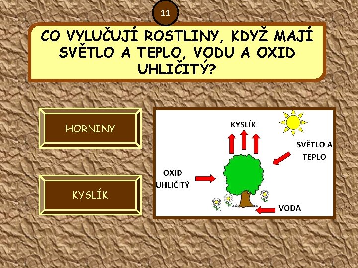 11 CO VYLUČUJÍ ROSTLINY, KDYŽ MAJÍ SVĚTLO A TEPLO, VODU A OXID UHLIČITÝ? HORNINY